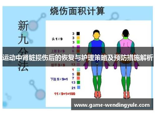 运动中肾脏损伤后的恢复与护理策略及预防措施解析