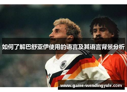 如何了解巴舒亚伊使用的语言及其语言背景分析 如何了解巴舒亚伊使用的语言及其语言背景分析